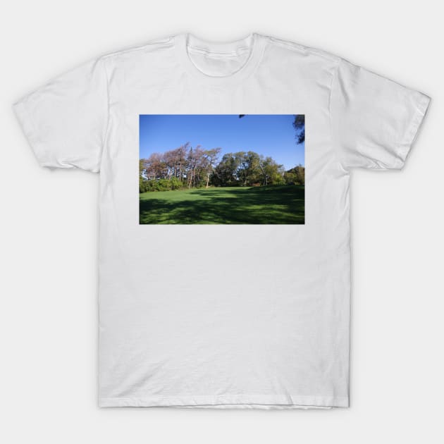 Trees Bent Hamilton T-Shirt by srosu